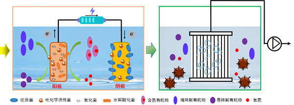 创新成果-微电场耦合膜-600.png