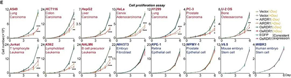 资讯纵览-杜鹏cell图1-600.jpg