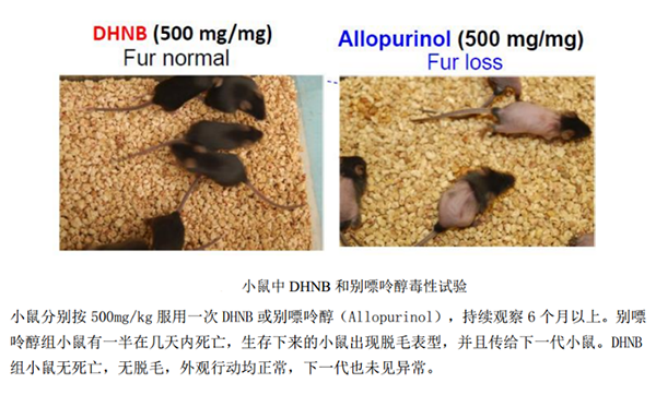 创新成果-高尿酸血症小分子-600.png