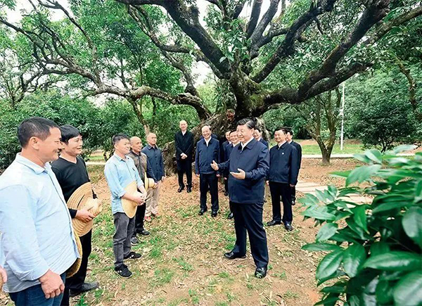 资讯纵览-习近平：加快构建新发展格局　把握未来发展主动权3-600.jpg