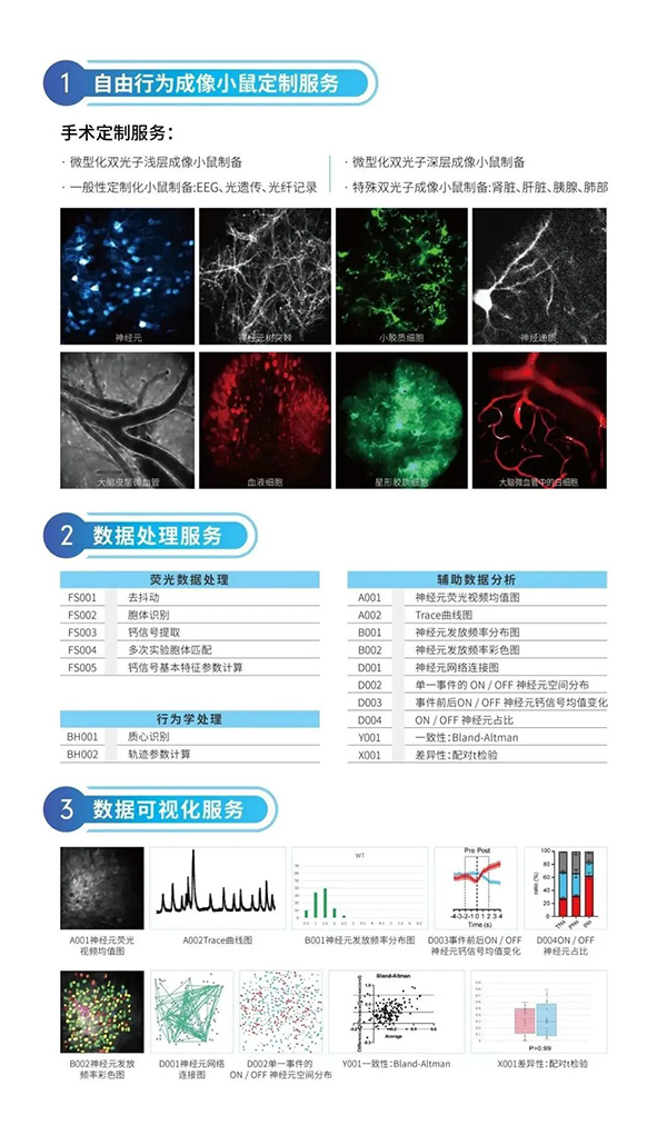 企业风采-让脑智科技引领未来：超维景出席2023广阳湾脑与智能科学会议7-600.jpg