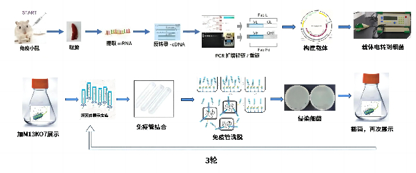 微信图片_20240701162454.jpg