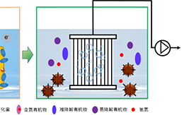 创新成果-微电场耦合膜-260