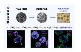 d3150e769fe51f8a93a34dddc1257a6a (1)